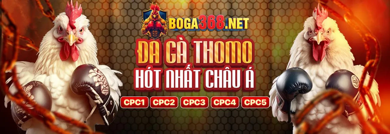 Các phương thức thanh toán an toàn tại BK8 APK